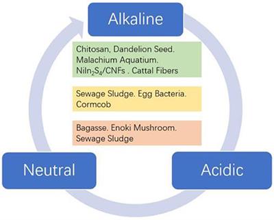 Carbon-Based Electrocatalysts Derived From Biomass for Oxygen Reduction Reaction: A Minireview